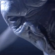 Image for article titled 10 Science Fiction TV Characters We Hope Will Die in 2013